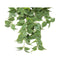 75Cm Nearly Natural Artificial Philodendron Hanging Bush
