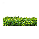 75 X 75Cm Long Mixed Boxwood Hedge Uv Resistant