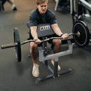 Preacher Curl Bench and Commercial Weight Bench for Bicep and Arm Workouts