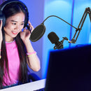 Professional Condenser Microphone USB Voice and Music Cantilever Bracket Set