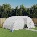 Greenhouse with Steel Frame White 20 m¬≤ 5x4x2.3 m