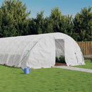 Greenhouse with Steel Frame White 30 m¬≤ 6x5x2.3 m