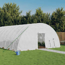 Greenhouse with Steel Frame White 36 m¬≤ 6x6x2.85 m