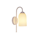 Opal Matt Glass Wall Light