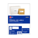Avery General Use Label L7157Gu 33Up Pack Of 100
