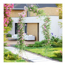Garden Arch Trellis Arbour Roses Plants Climbing Stand