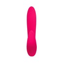 Adam And Eve Eves Bliss Vibrator Rechargeable Rabbit Vibrator Pink