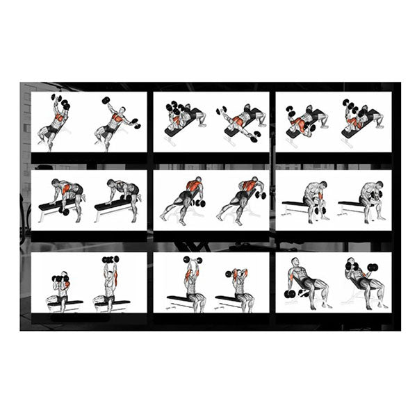 B200 Adjustable Incline Decline Weight Bench Resistance Bands