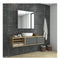 Bathroom Mirror Cabinet Storage Polished Stainless Steel Wall Mounted
