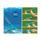 Pool Cleaner Cordless With Pole Swimming Pool Automatic Vacuum