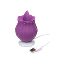 Bloomgasm Wild Violet 10X Licking