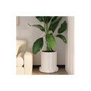 Rolling Plant Stand With 360 Degrees Wheels For Indoor Pots 26 Cm