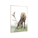 Elk Canvas Pic Painting Metal Frame Wall Art Print Hanging Picture