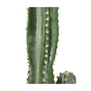 4X 70Cm Green Artificial Indoor Cactus Tree Decorative 5 Heads