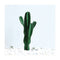 4X 70Cm Green Artificial Indoor Cactus Tree Decorative 5 Heads
