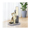 2in1 Cat Scratching Post with Message Brush and Dangling Ball