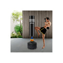 Boxing Punching Bag Free Standing Black