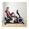 Recumbent Exercise Bike
