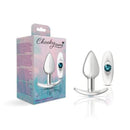 Cheeky Charms Silver Anchor Butt Plug With Clear And Jewel Kit