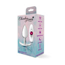 Cheeky Charms Silver Anchor Butt Plug With Clear And Jewel Kit