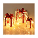 Set of 3 Christmas Lighted Gift Boxes with Waterproof Plug