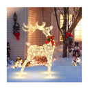 Christmas Lighted Reindeer With 50 120 Led Bulbs