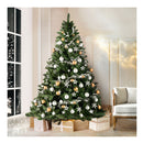 Christmas Tree Green Xmas Tree Decorations 905 Tips