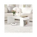 Coffee Table With Double Layer Storage Space Modern Center Table