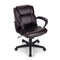 Ergonomic Swivel Computer Chair with Padded Armrests for Office