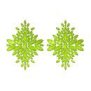 Glow Fashion Pasties Set Green And Pink