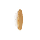8W Tri Colour Led Wall Light