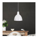 Dawson Pendant Barn Style Pendant