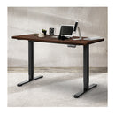 Desktop For Motorised Adjustable Nature 120X60Cm
