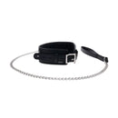 Edge Collar And Leash Black Neck Restraint With Metal Leash