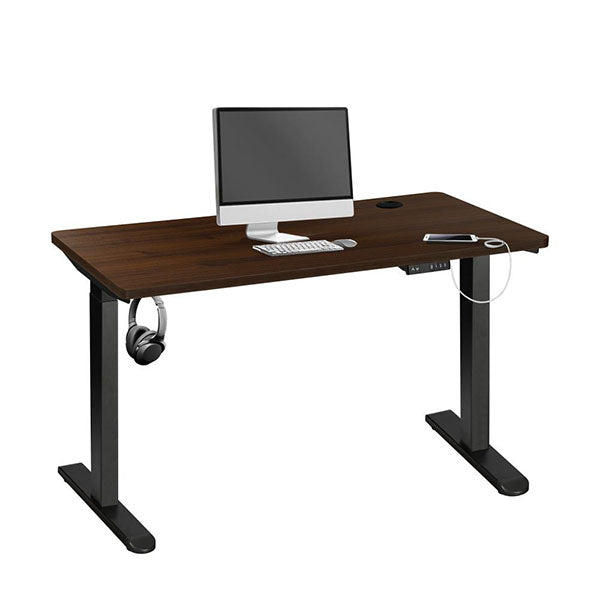 Ergonomic Sit Stand Desk Electric Home Office Computer Workstation
