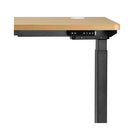 Ergonomic Sit Stand Desk Electric Home Office Computer Workstation
