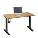 Ergonomic Sit Stand Desk Electric Home Office Computer Workstation