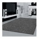Europas Dark Grey Rug