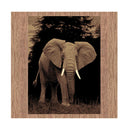 European Classic Elephant Rug 160 X 230Cm
