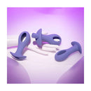 Evolved Hole Punch Plug Set Butt Plugs With Bullet Set Purple