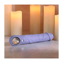 Evolved Large Purple Fantasy Usb Rechargeable Vibrator Purple