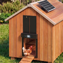 Automatic Chicken Coop Door 37cm Solar Powered Smart App Control Black