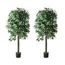 2 Pack 150cm Artificial Ficus Tree Faux Potted Plants