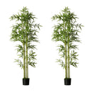 2x Bamboo Tree 150cm Potted Faux Plants