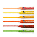 Palmy Crayons 24 Colour