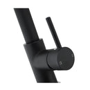 Gooseneck Pull Out Tap Kitchen Sink Mixer Tap Swivel Round Black