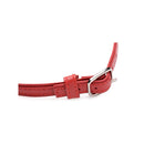 Pet Leather Choker With Silver Ring