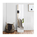 Floor Mirror With Stand And Solid Wood Frame For Living Room