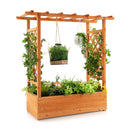 Raised Garden Bed With Top And Side Trellis For Garden