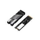 Gigabyte Aorus Gen4 7300 Ssd M2 1Tb Pci Express